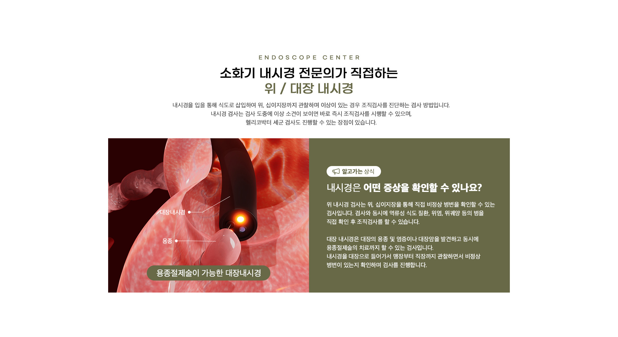 위 / 대장 내시경